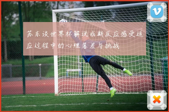 苏东谈世界杯解说戒断反应感受适应过程中的心理落差与挑战